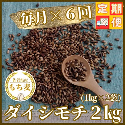 【毎月定期便】『もち麦』2kg(1kg×2袋)佐賀県産【ダイシモチ】全6回_SS538