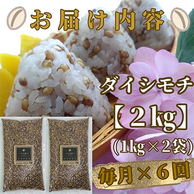 【毎月定期便】『もち麦』2kg(1kg×2袋)佐賀県産【ダイシモチ】全6回_SS538