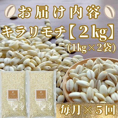 【毎月定期便】『もち麦』2kg(1kg×2袋)佐賀県産【キラリモチ】全5回_SS492