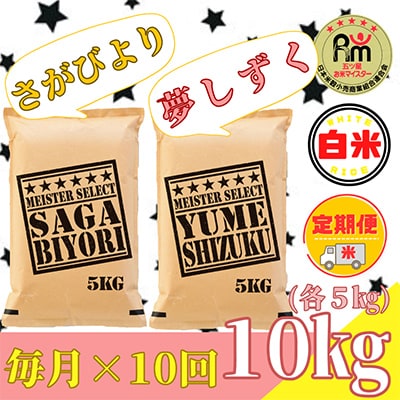 【毎月定期便】さがびより白米5kg・夢しずく白米5kg《お米マイスター厳選!》全10回_SS536
