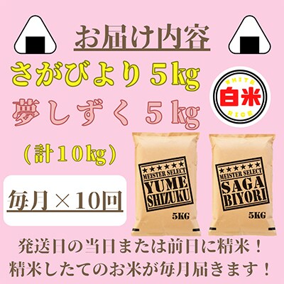 【毎月定期便】さがびより白米5kg・夢しずく白米5kg《お米マイスター厳選!》全10回_SS536