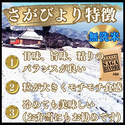 【2ヵ月毎定期便】無洗米さがびより10kg(5kg×2袋)五つ星お米マイスター厳選全3回_SS564