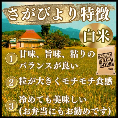 【2ヵ月毎定期便】さがびより白米5kg【五つ星お米マイスター厳選!】全5回_SS556