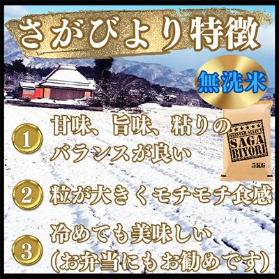 【2ヵ月毎定期便】【無洗米】さがびより5kg【五つ星お米マイスター厳選!】全5回_SS586