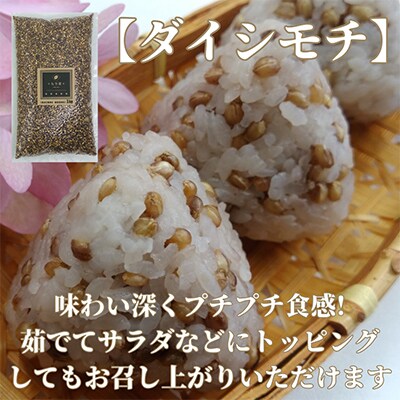 【2ヵ月毎定期便】『もち麦』2kg(1kg×2袋)佐賀県産【ダイシモチ】全5回_SS577