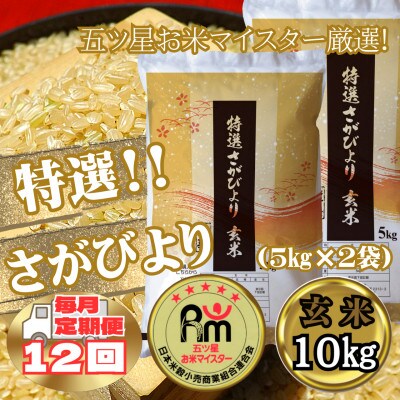 【毎月定期便】《特選さがびより》玄米10kg(5kg×2袋)【みやき町産】_SS641全12回