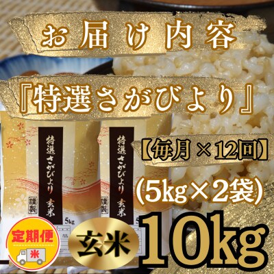 【毎月定期便】《特選さがびより》玄米10kg(5kg×2袋)【みやき町産】_SS641全12回