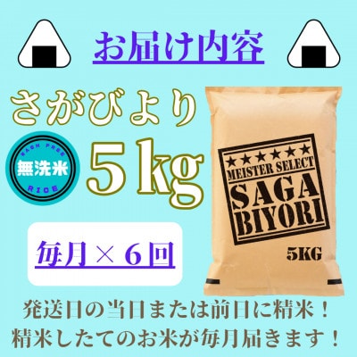 【毎月定期便】【無洗米】さがびより5kg(みやき町)_SS784全6回