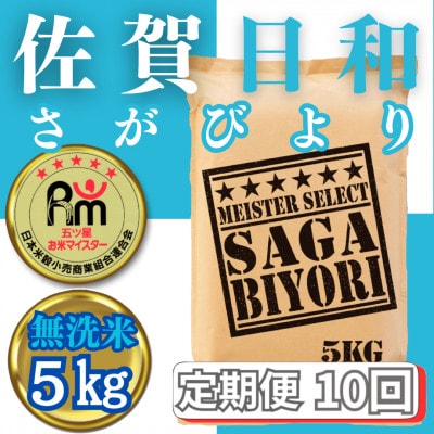 【毎月定期便】【無洗米】さがびより5kg(みやき町)_SS781全10回