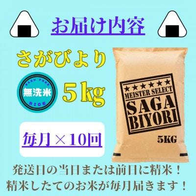 【毎月定期便】【無洗米】さがびより5kg(みやき町)_SS781全10回