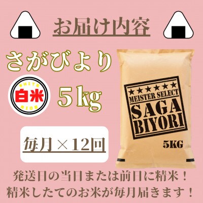 【毎月定期便】さがびより白米5kg(みやき町)_SS827全12回