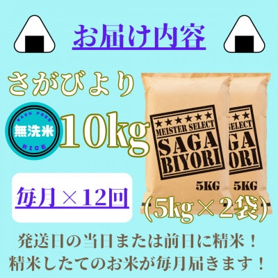 【毎月定期便】【無洗米】さがびより10kg(5kg×2袋)(みやき町)_SS822全12回