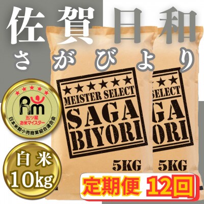 【毎月定期便】さがびより白米10kg(5kg×2袋)(みやき町)_SS835全12回