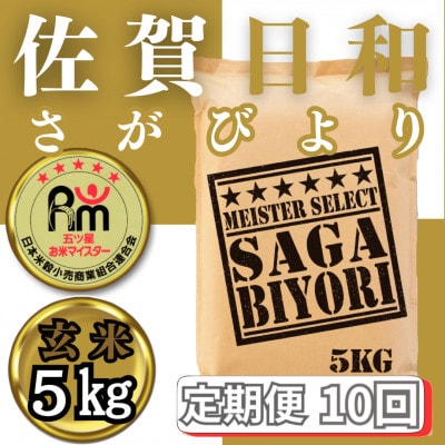 【毎月定期便】【玄米】さがびより5kg(みやき町)_SS856全10回