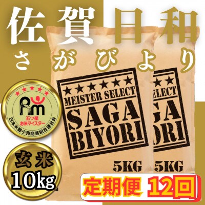 【毎月定期便】【玄米】さがびより10kg(みやき町)_SS853全12回