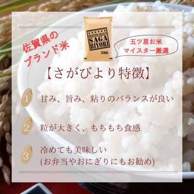 【毎月定期便】【玄米】さがびより10kg(みやき町)_SS853全12回
