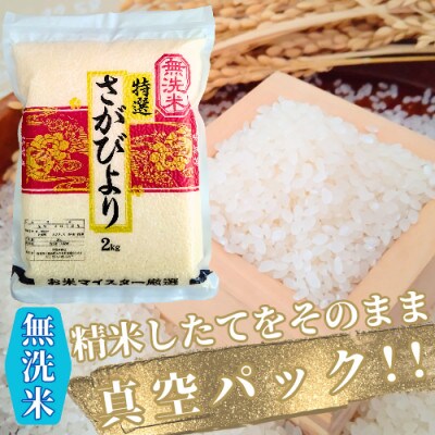 【毎月定期便】【無洗米】さがびより《2kg×4袋》(真空パック)(みやき町)_SS902全6回