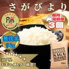 【毎月定期便】【無洗米】さがびより3kg【五つ星お米マイスター厳選!】_SS1056全3回