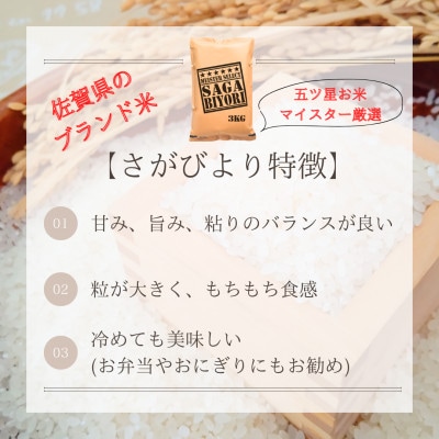 【毎月定期便】【無洗米】さがびより3kg【五つ星お米マイスター厳選!】_SS1055全6回