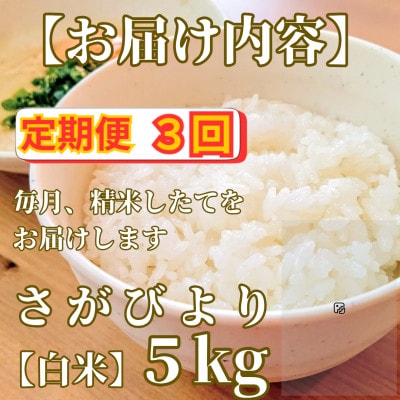 【毎月定期便】さがびより白米5kg【五つ星お米マイスター厳選!】_SS1049全3回