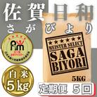 【毎月定期便】さがびより白米5kg【五つ星お米マイスター厳選!】_SS1048全5回