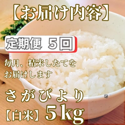 【毎月定期便】さがびより白米5kg【五つ星お米マイスター厳選!】_SS1048全5回