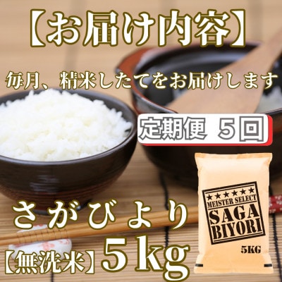 【毎月定期便】【無洗米】さがびより5kg【五つ星お米マイスター厳選!】_SS1051全5回