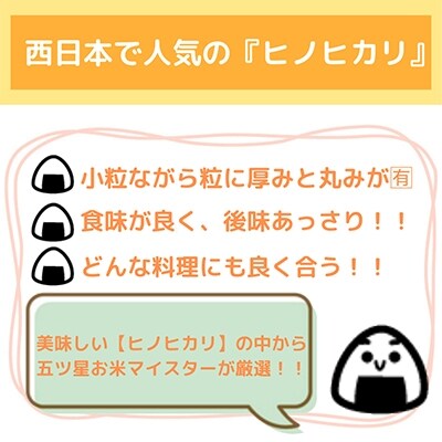 2022年11月発送開始『定期便』【無洗米】ひのひかり5kg×2袋 全5回_SS176