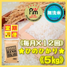 2023年5月発送開始『定期便』【無洗米】ひのひかり5kg全12回_SS283
