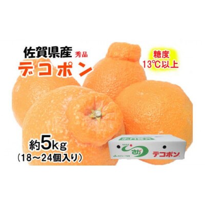 デコポン 秀品 約5kg(約18～24個)_SS1003