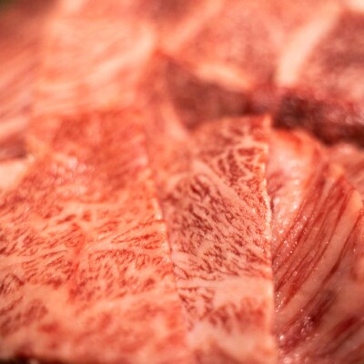 佐賀牛 焼肉用切り落とし500g(みやき町)_SS143