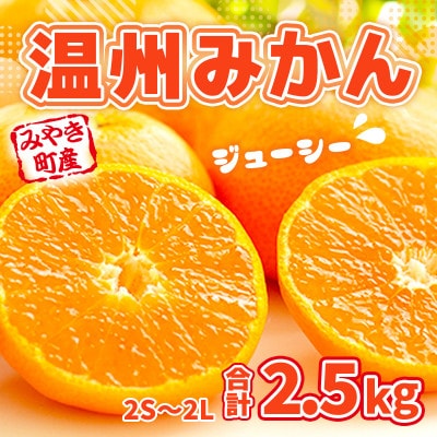 みやき町産　温州みかん　約2.5kg_SS373