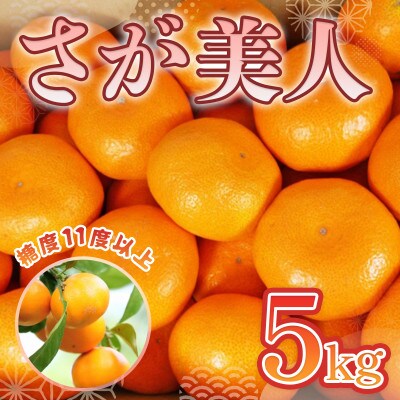 佐賀県産 さが美人5kg(みやき町)_SS379