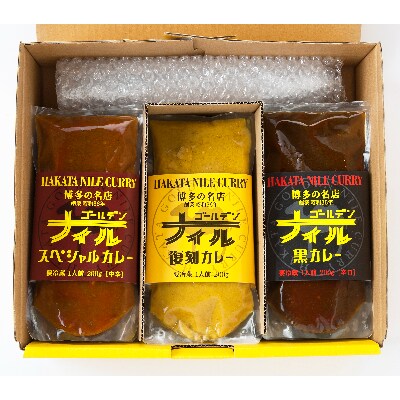 博多の名店ナイル 生カレー10パックセット_SS182