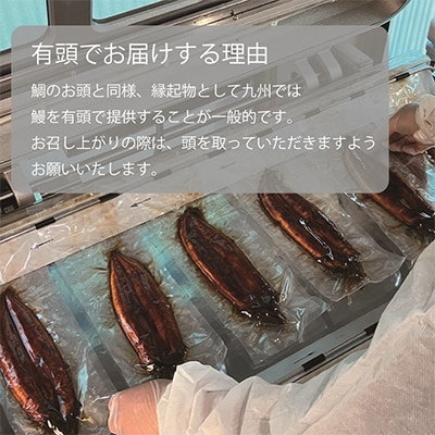 ”秘伝のたれ”仕込み×4尾 うなぎ蒲焼有頭　1尾あたり約160g前後_SS240
