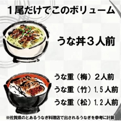 【ふるさと納税】計1kgの有頭鰻かば焼 1尾あたり約334g前後×3尾(たれ・山椒付き)_SS105
