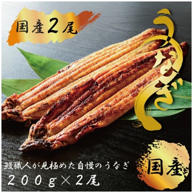 【ふるさと納税】九州産　鰻職人が見極めた自慢のうなぎ　蒲焼　有頭鰻 約200g×2尾_SS1059