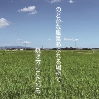【ふるさと納税】九州産　鰻職人が見極めた自慢のうなぎ　蒲焼　有頭鰻 約200g×2尾_SS1059