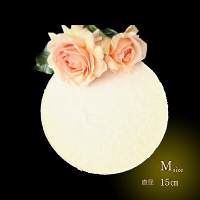 ヴィーガンRawケーキ☆レアチーズ【M】_SS818