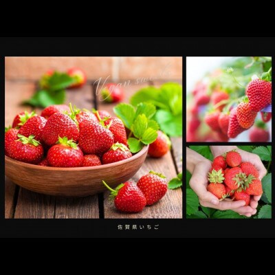 ヴィーガンRawケーキ☆ストロベリー【M】_SS850