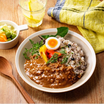 博多の名店ナイルのみつせ鶏キーマカレー6パックセット『辛味調整スパイス　カレーノ付き』_SS411