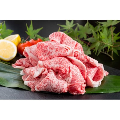 佐賀産和牛切り落とし400g _SS436