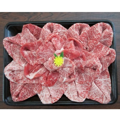佐賀産黒毛和牛花盛り500g _SS437