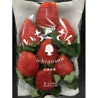 041-ichigo2pck01.jpg