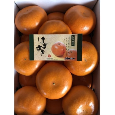 【麗紅】はまさき　約2.5kg_SS464