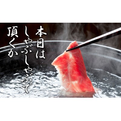 佐賀牛ウデスライスすき焼き/しゃぶしゃぶ用500g_BL083_SS701(みやき町)