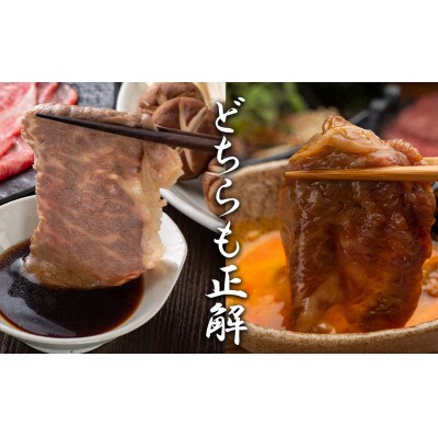 佐賀牛ウデスライスすき焼き/しゃぶしゃぶ用500g_BL083_SS701(みやき町)