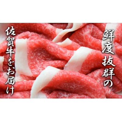 佐賀牛切り落とし500g_BL036_SS714(みやき町)