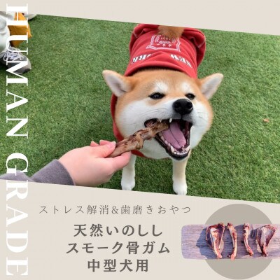 犬のおやつ☆天然いのししの骨ガム☆中型犬向け_SS753