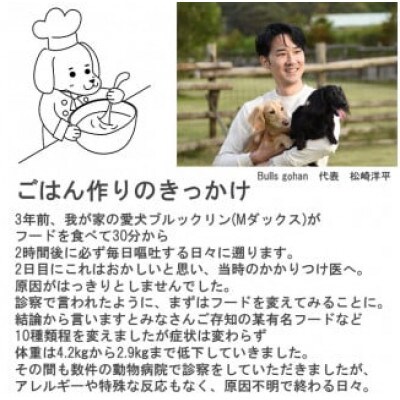 国産・保存料無添加のドッグフード・おダシ香る鶏ごはん【20個パック】(みやき町)_SS969